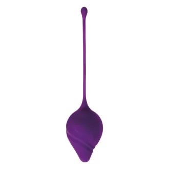 Kegel Ball - Purple koop je bij Speelgoed voor Volwassenen