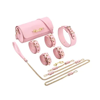 BDSM Deluxe 5 Item Kit - Pink koop je bij Speelgoed voor Volwassenen