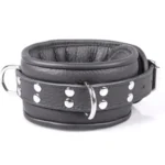 Professional Collar 7 cm - Black van Kiotos Leather, GTIN: 8718969407243