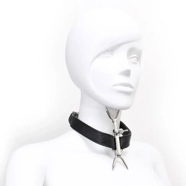 Adjustable Double Neck Collar with Pins van Kiotos Steel, GTIN: 8720246444322