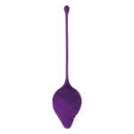 Kegel Ball - Purple van Virgite, GTIN: 8436572920118