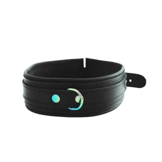 Leather Collar Black Rainbow van Kiotos Leather, GTIN: 8720246449631