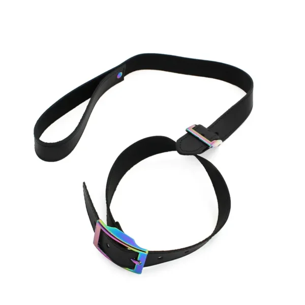 Leather Collar with leash Rainbow van Kiotos Leather, GTIN: 8720246445879