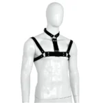 Male Leather Collar and Chests Strap van Kiotos Leather, GTIN: 8720246448160