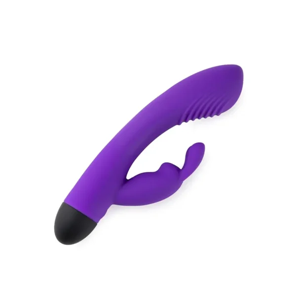 Rechargeable Dual G-Spot Vibrator V6 - Purple van Virgite, GTIN: 8436572921313