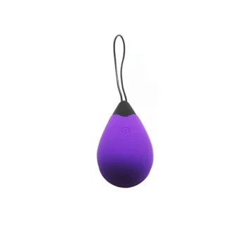 Remote Control Egg G1 - Purple van Virgite, GTIN: 8436572920392