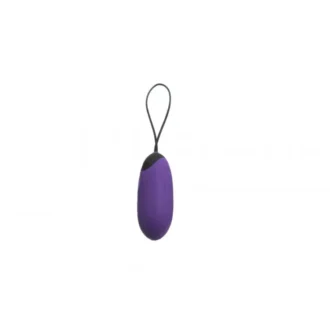 Remote-Control-Egg-G3-Purple-OPR-3090038-jpg_900x900