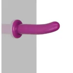 Holy Dong - Medium Silicone Dildo 1612 Pink van Lovetoy, GTIN: 6970260905558