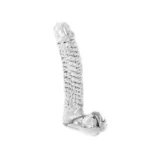 Glass Dildo Clear Penis Ribbed van Kiotos Glass, GTIN: 8719497534432