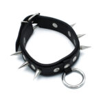 Zwarte Leren Halsband met Spikes en O-Ring van Kiotos Leather, GTIN: 8721284280354